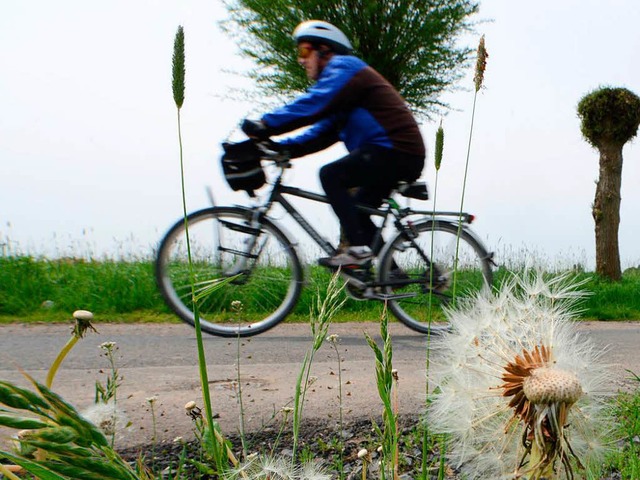 Besonders froh ist das Gremium in Nors... ber den geplanten Radweg nach Karsau  | Foto: dpa