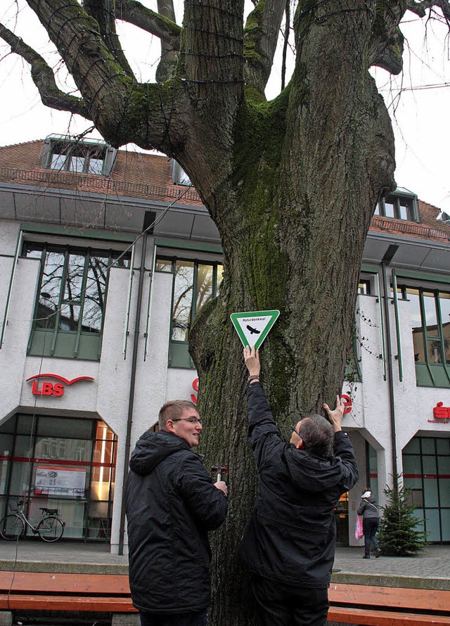 Die Silberlinde an der Steinbrckstra... kennzeichneten den Baum am Dienstag.   | Foto: Jrn Kerckhoff