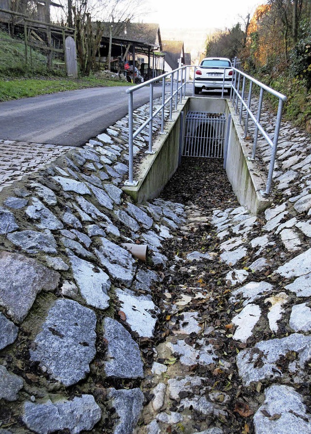 Seine erste Bewhrungsprobe bestanden ... der Herrenbergstrae kein Hochwasser.  | Foto: Reiner Merz