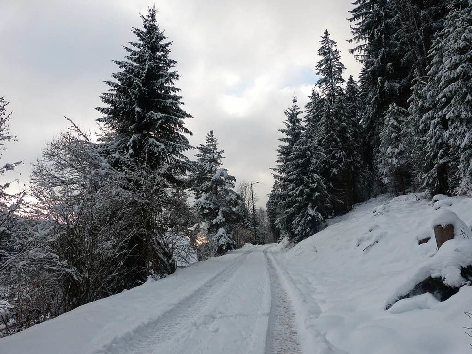 Winterwanderwege in Hinterzarten.  | Foto: Maike Sommer