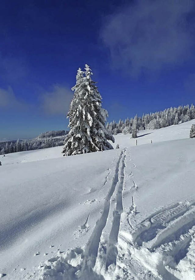 Das schne Wetter in der Winterlandschaft motiviert zum langlaufen.  | Foto: Wolfgang Lorenz