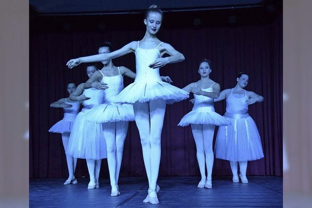Von klassischem Ballett bis Modern Dance