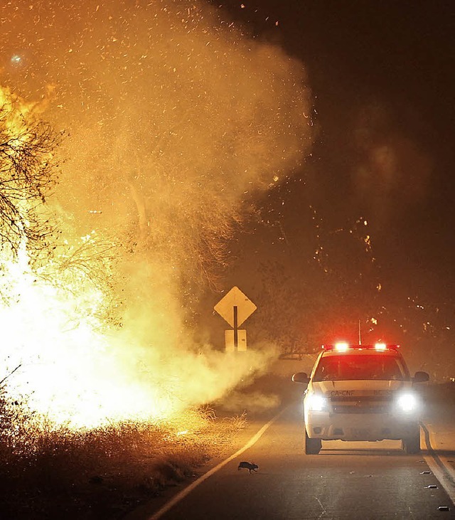 Flammen am Straenrand: Ein Wagen der Feuerwehr nahe San Diego  | Foto: dpa