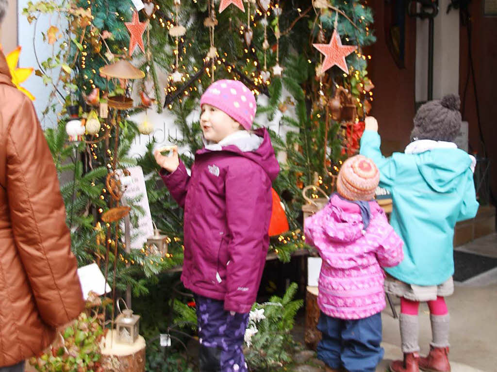 Beim 44. Altstaufener Weihnachtsmarkt gab es fr jeden etwas in der festlich geschmckten Stadt.