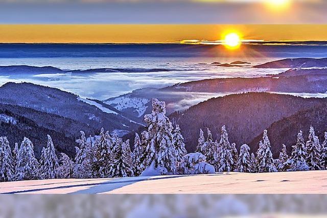 Der Feldberg in winterlicher Pracht