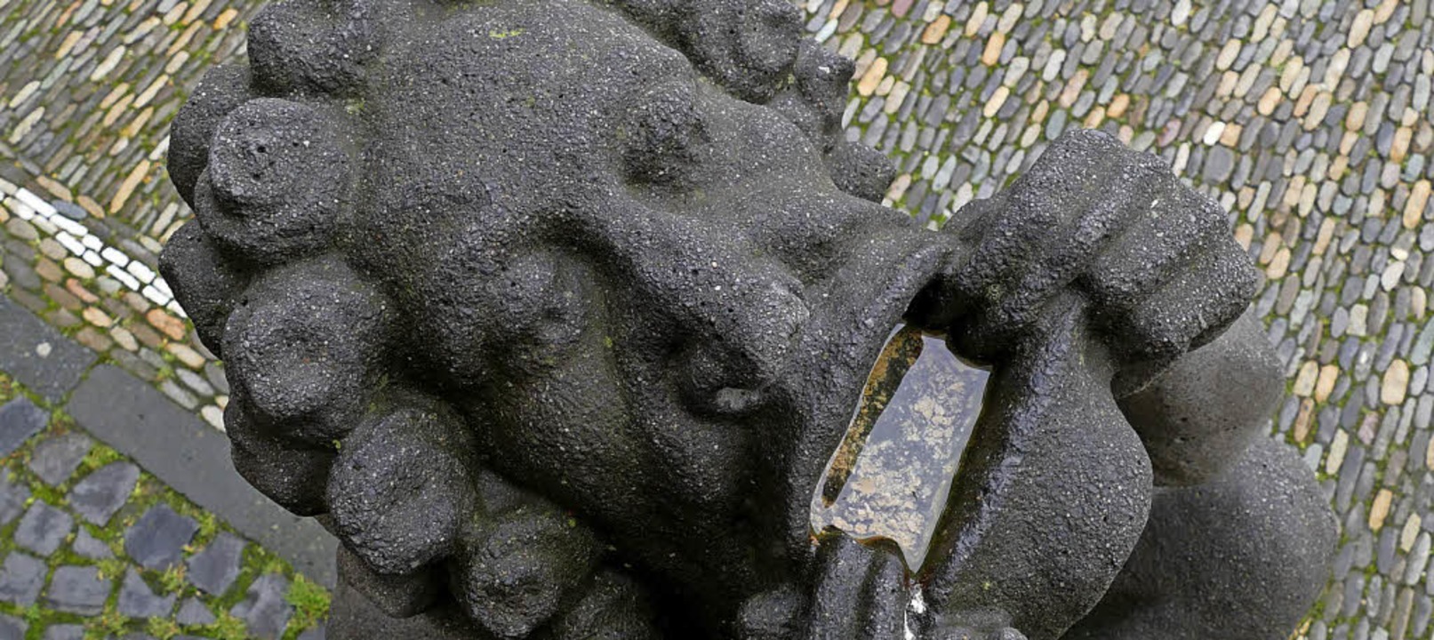 Da reißt einer sein Maul ganz weit auf...1; eine Steinfigur hinter dem Münster.  | Foto: Stephanie Streif