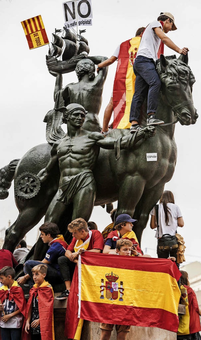 Demonstranten mit spanischer Flagge   | Foto: dpa