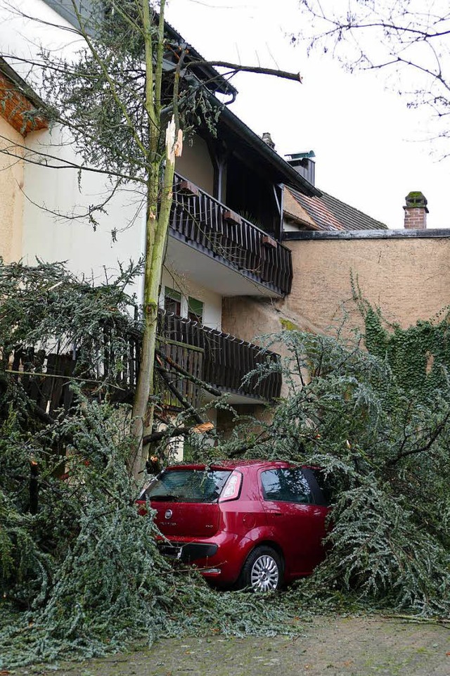 Der Baum beschdigte Auto und Balkon.  | Foto: Theresa Steudel