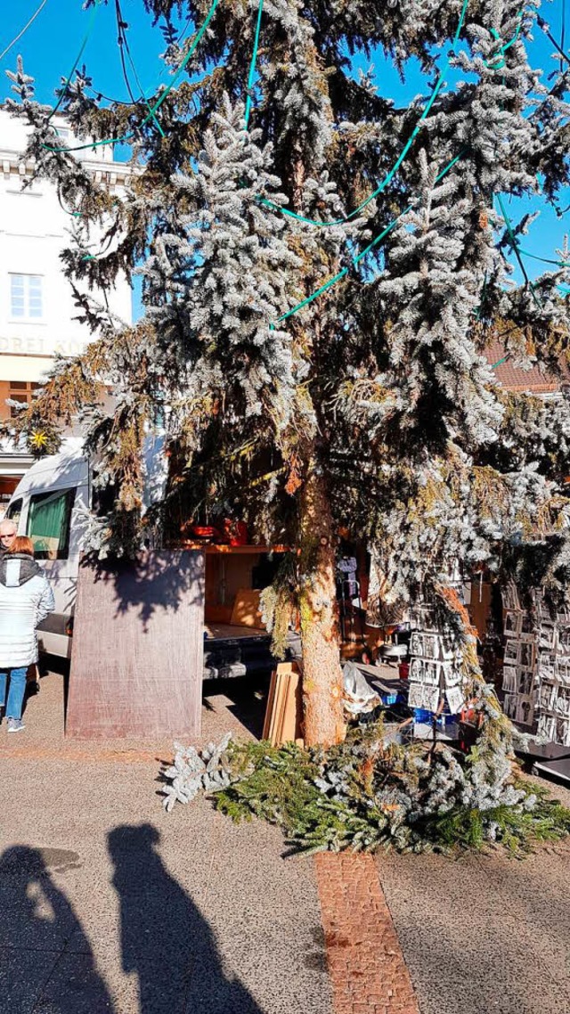 Der Lrracher Weihnachtsbaum ist Stadtgesprch.  | Foto: Jannik Jrgens