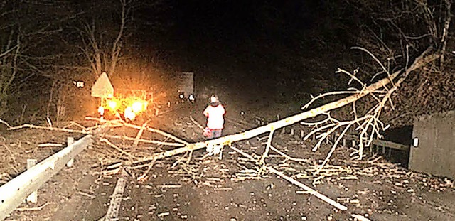 Bei Pfeffingen im Kanton Baselland strzte ein Baum auf ein fahrendes Auto.   | Foto: Polizei Baselland