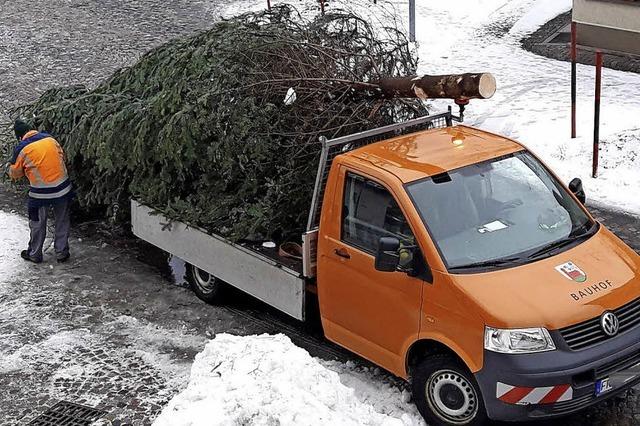 Weihnachtsbaum, der Zweite