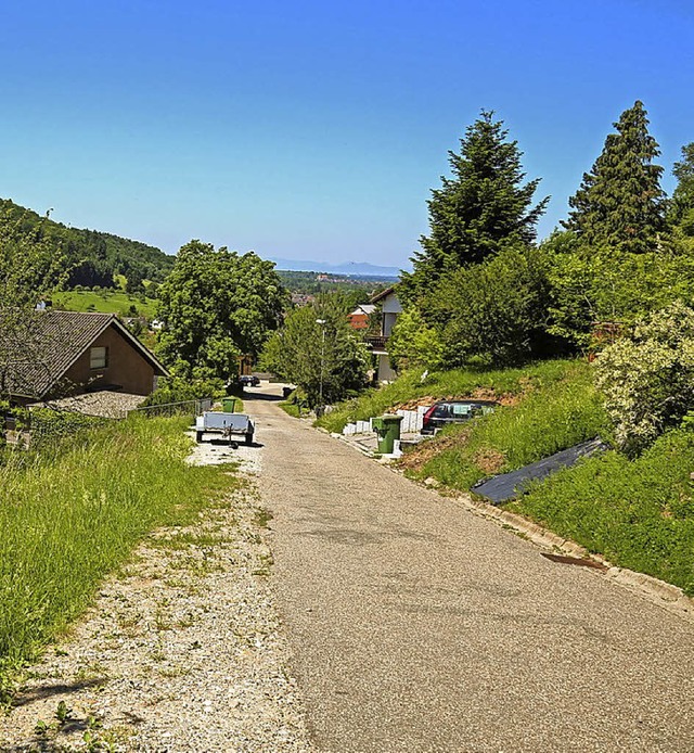 Die Neubergstrae soll ausgebaut werden.   | Foto: S. Decoux-Kone