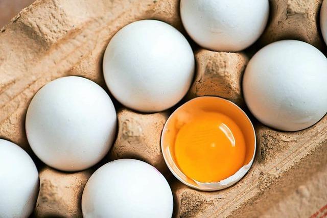 Eier werden etwas teurer – eine Folge des Fipronil-Skandals