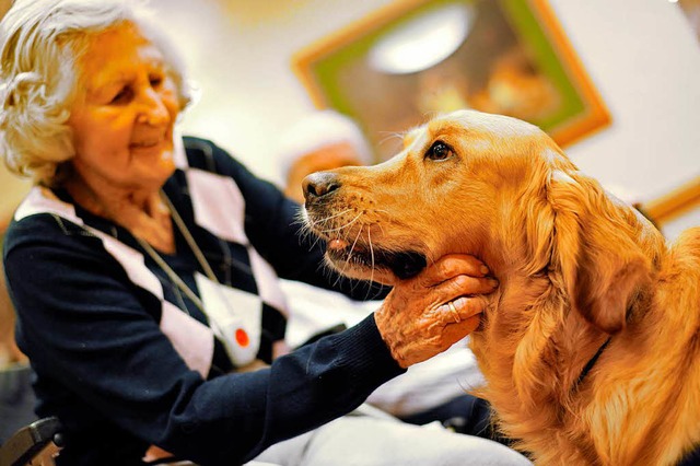 Hunde haben laut einer Studie keinen E... auf die Lebenserwartung ihrer Halter.  | Foto: Uwe Anspach