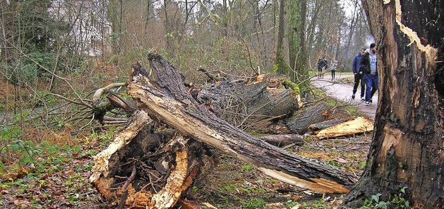 Manchmal schlgt auch der Wind zu &#82...- und Radweg entlang des Brettenbachs.  | Foto: Sylvia-Karina Jahn