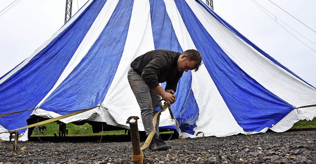 Leandro Zinnecker: Juniorchef, Akrobat...werfer, Tierdresseur und Zeltaufbauer   | Foto: Jonas Hirt