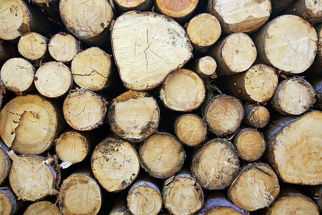 2016 wurden 70000 Euro aus der Holzernte eingenommen.   | Foto: dpa