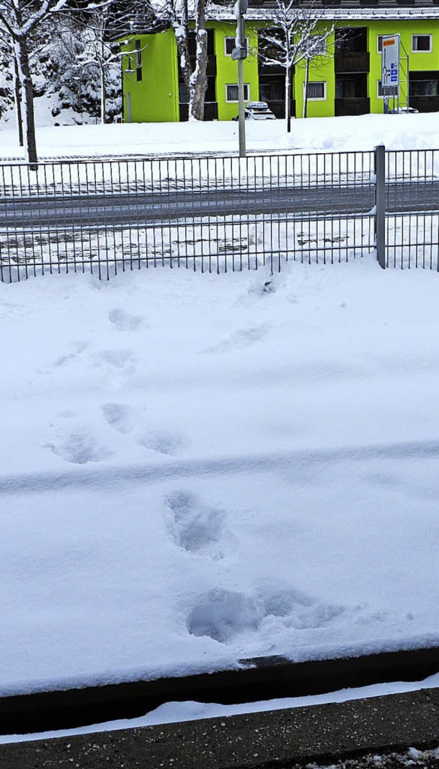 Dass Fugnger in Titisee ber die Gleise gehen, wrde man gern verhindern.   | Foto: Peter Stellmach