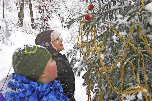 Kinder schmcken essbaren Weihnachtsbaum