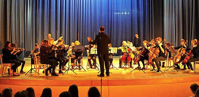 Chre und Orchester der Freien Waldorf...luden zu einem Weihnachtskonzert ein.   | Foto: Privat