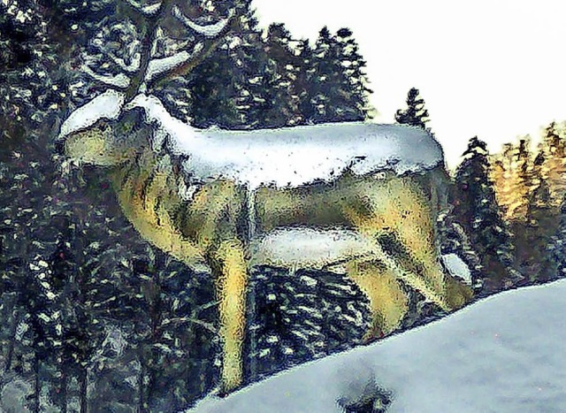 Im vergangenen Winter blickte der Hirs...von seinem Felsen ins Wehratal hinab.   | Foto: Marcel Kpfer