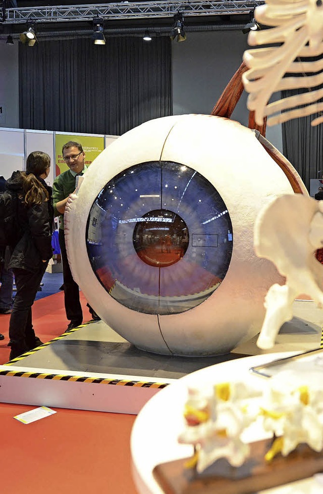 Stand auf der Gesundheitsmesse 2016   | Foto: Archivfoto: Rita Eggstein