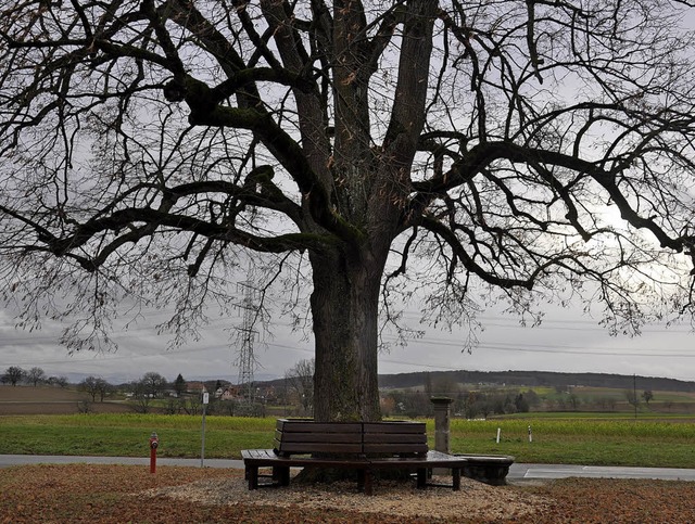 Die runde Bank ist von der Pfarrhaus-L...tgliedern aus der &#8222;Tanne&#8220;.  | Foto: Jutta Schtz