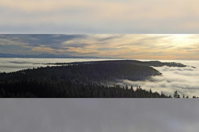 Eine Insel im Nebelmeer