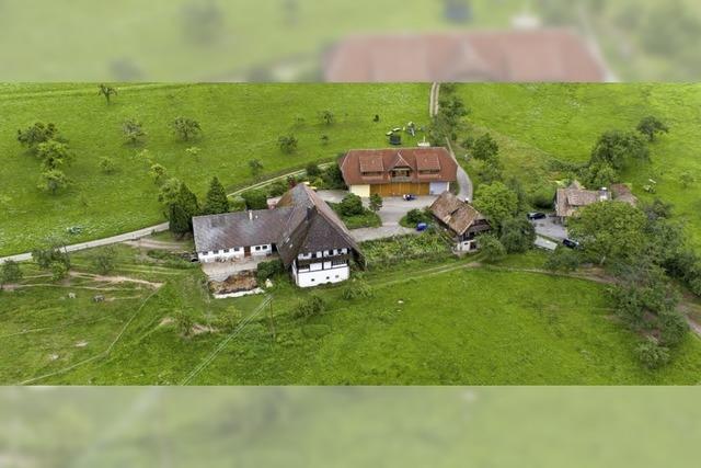 Haagseppenhof (Schnberg)