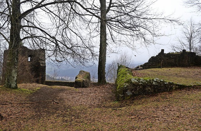 Burgruine Schwarzenberg oberhalb Waldkirch   | Foto: Nina Pogrebnaja