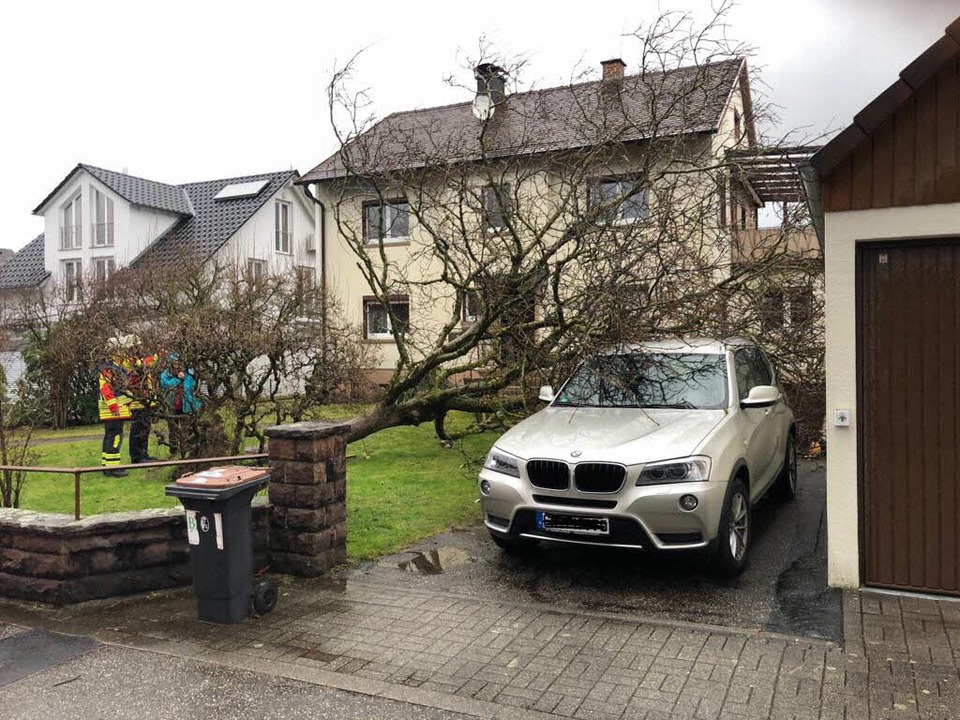 Umgestürzter Baum in Kirchzarten  | Foto: Feuerwehr Kirchzarten