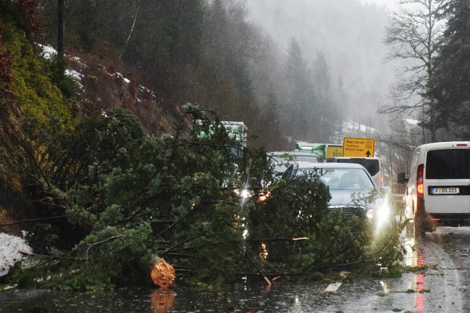 Ein umgestürzter Baum hindert Autos daran  auf der B317 am Feldberg ungebremst zu fahren. (Foto: dpa)