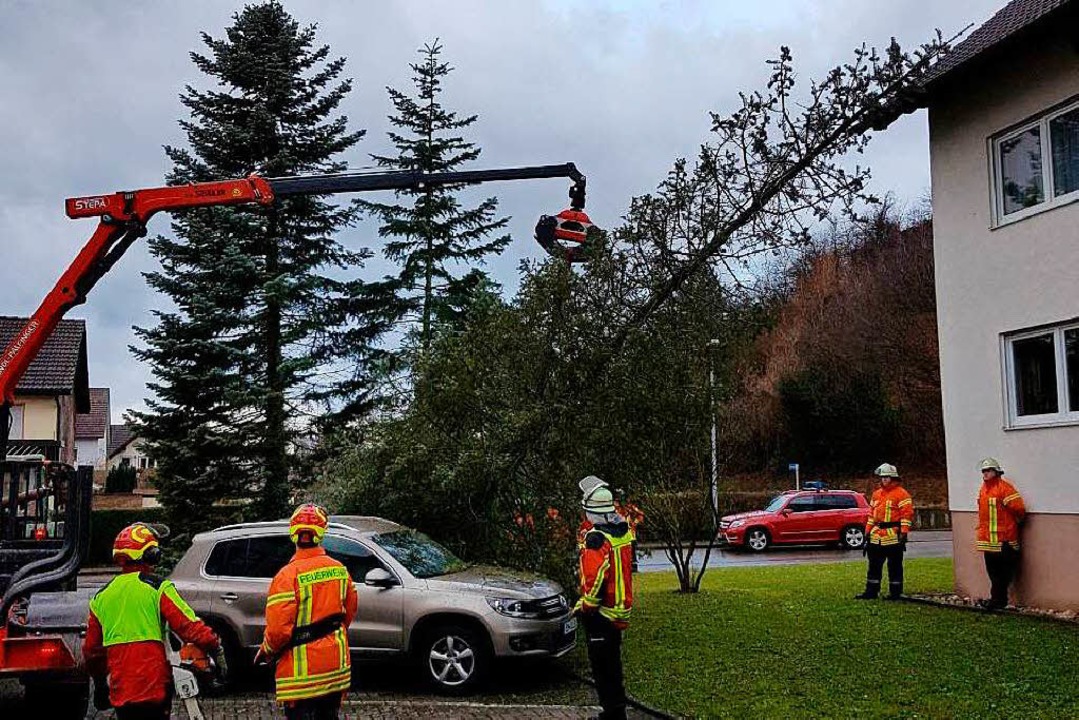 In Kenzingen war ein Baum auf zwei parkende Fahrzeuge gestürzt.  | Foto: Feuerwehr