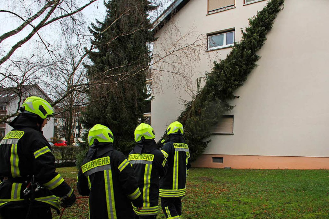 Auch die Feuerwehr Riegel musste wegen...ringer Straße war ein Baum umgestürzt.  | Foto: Hans-Peter Ziesmer