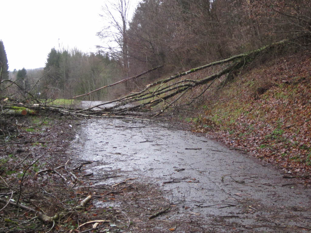 Schwrstadt. Straen Richtung Dossenbach und Schopfheim sind wegen Baumbruch gesperrt. Die  Ortsdurchfahrt B34 ist halbseitig gesperrt wegen heruntergewehten Ziegeln und Dachrinnen.
