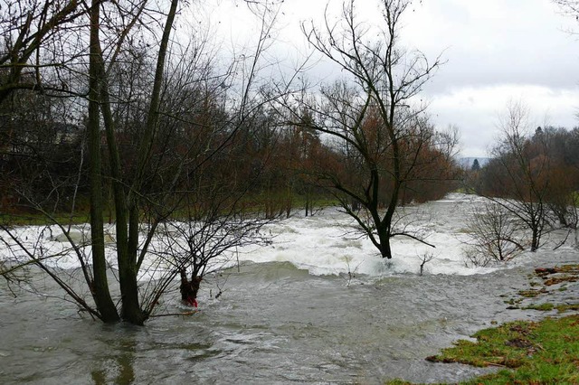 Im Bereich Lrrach hat der Fluss Wiese Hochwasser.  | Foto: Jannik Jrgens