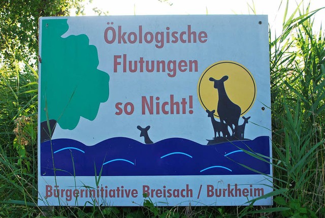 Die Brgerinitiative (BI) fr eine ver...d bei Burkheim wieder geflutet werden.  | Foto: Benjamin Bohn
