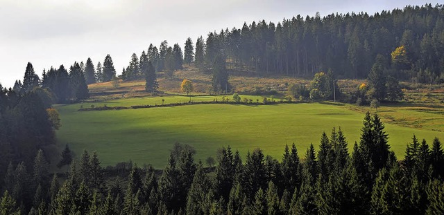 Hier mag er vor etwa 150 Jahren auf se...e Sommerseite in Richtung Muchenland.   | Foto: Evamarie Kurfess