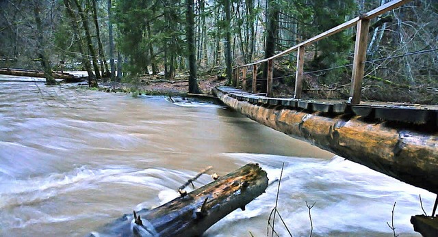 Das Hochwasser in der Wutachschlucht b...ch einen Baumstamm etwas  verschoben.   | Foto: Martin Schwenninger
