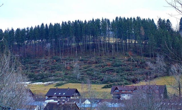 Burglind spielte Baummikado: Das Foto zeigt den Schchele-Wald bei Lenzkirch.    | Foto: Manfred G. Haderer