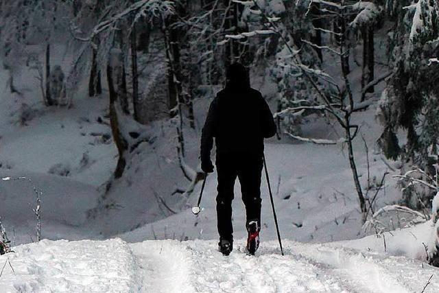 Nationalpark rumt Loipen vom Sturmholz – Wintersport aber nur stark eingeschrnkt mglich