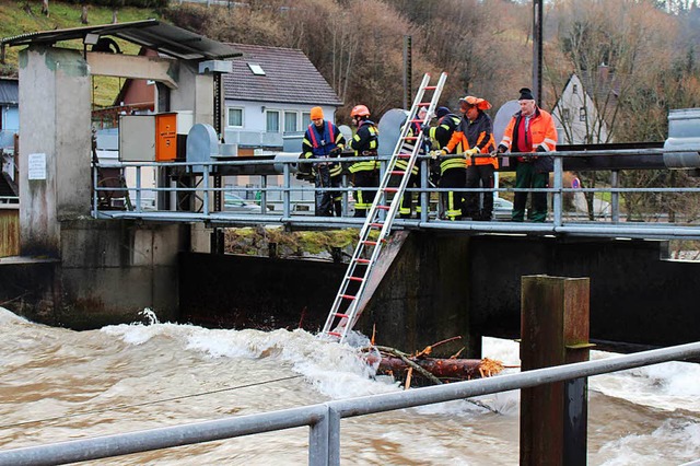 Bei einem riskanten Rettungsmanver en...ttungskrfte den Baum an der Schleuse.  | Foto: Martin Klabund