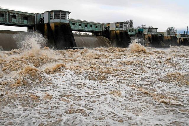 Rhein erreicht am Freitagmittag Scheitelpunkt von 3,50 Metern