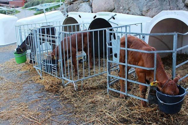 Wilmershof (Schwrzenbach)