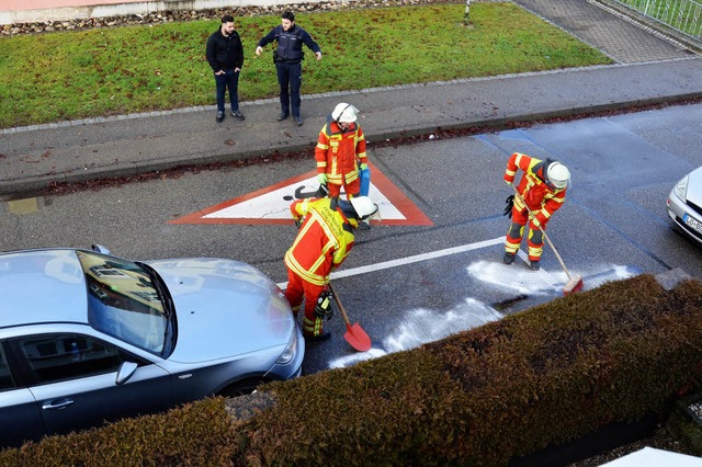 lverlust: MaulburgsFeuerwehr musste a...ubben. Dort hatte ein Auto l verloren  | Foto: Georg Diehl 