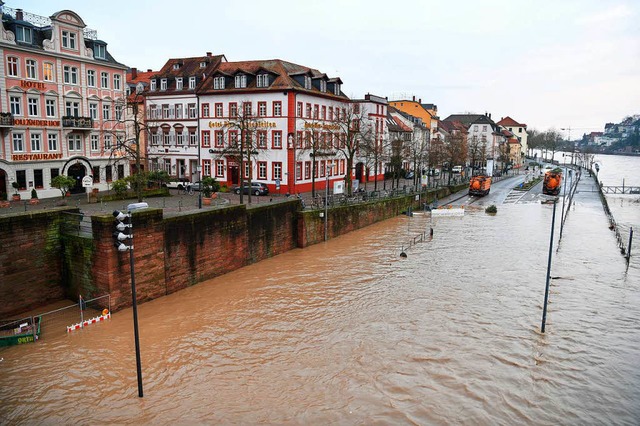 Teile der Bundesstrae 37 im Bereich d...in Heidelberg  am Neckar unter Wasser.  | Foto: dpa