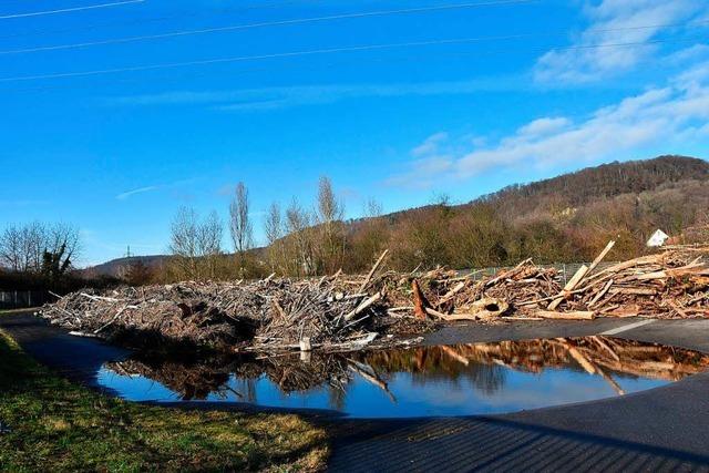 Hochwasser bringt Treibgut ans Stauwehr in Wyhlen-Augst