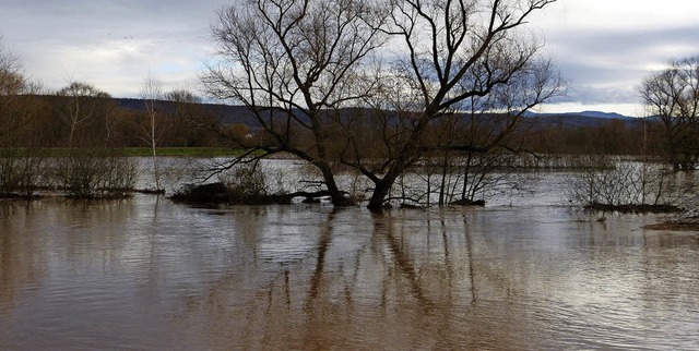 Elzhochwasser  | Foto: Aribert Rssel