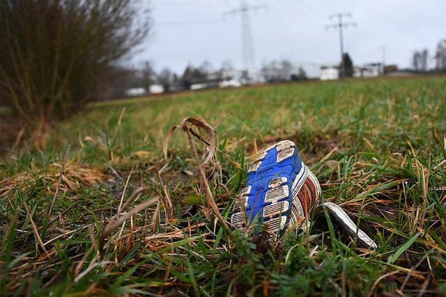 Fotos: Wasserstand der Flsse von Emmendingen bis Rheinhausen