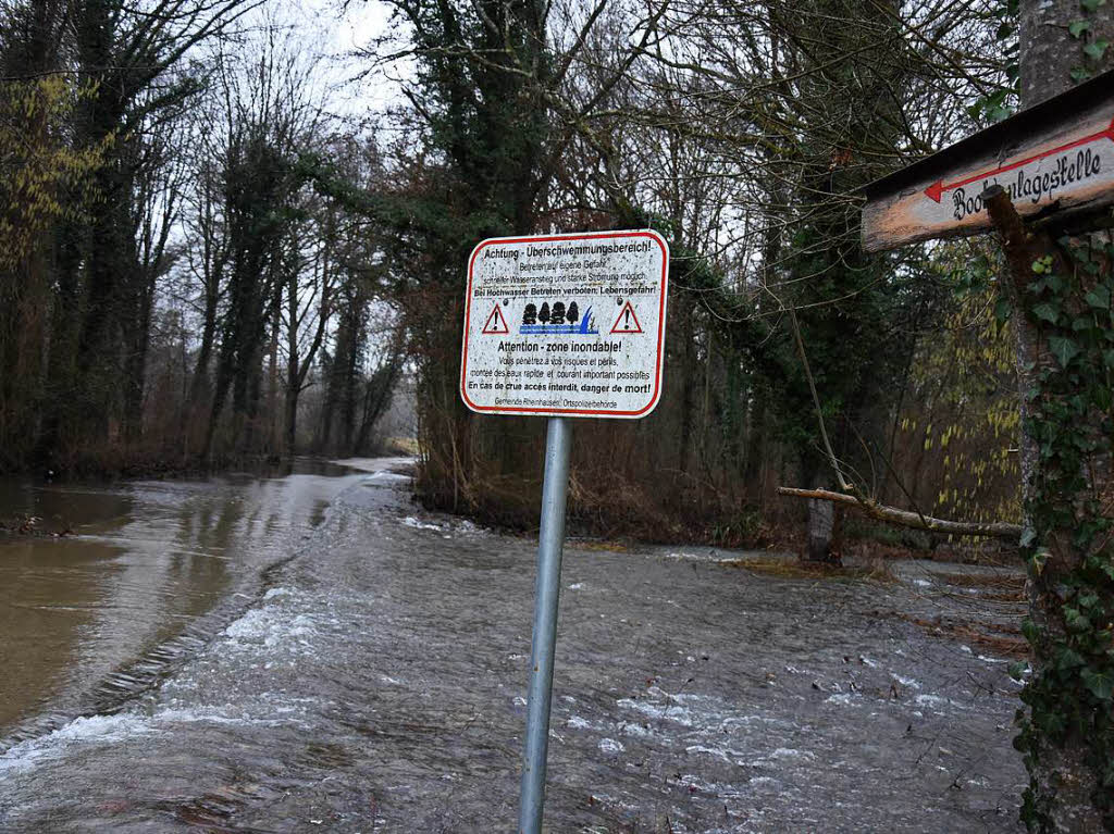 7. Januar: Elz und Rheinwald bei Rheinhausen nach dem Hochwasser